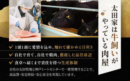 神戸牛 ロースステーキ 250g×2枚 計 500g KBST5