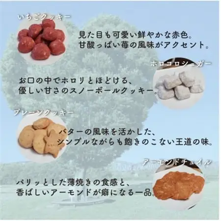 お菓子詰め合わせAセット　クッキー・パウンドケーキ・ドリップコーヒーセット　はつが野テラス【1696656】