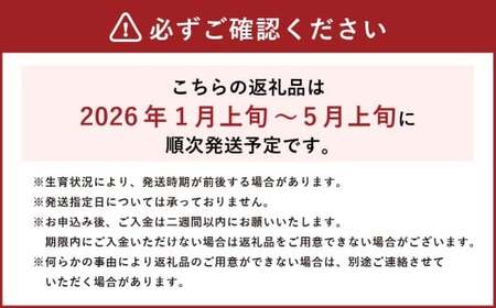 【令和7年産】 新米・精米 きぬむすめ5㎏＆いちご詰合せ（約280g×4パック） 【2026年1月上旬から5月上旬頃発送予定】いちご お米 白米 セット 冷蔵 岡山県 美咲町