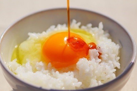 【3カ月連続お届け】放し飼い土佐ジローの卵　20個入り［(H)1238］
