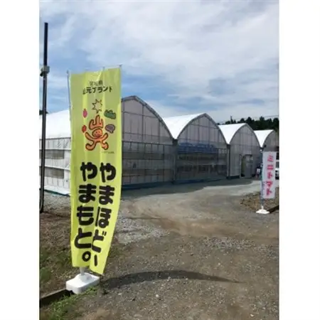 山のふ元のあまトマト(フルティカ・小鈴の詰め合わせセット)【配送不可地域：離島】【1342343】
