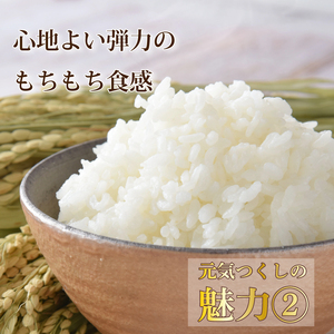 元気つくし 5kg 令和7年産 お米 米 こめ TJI
