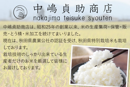 令和7年産【白米】《定期便9ヶ月》あきたこまち 10kg（10kg×1袋） 秋田県 横手市