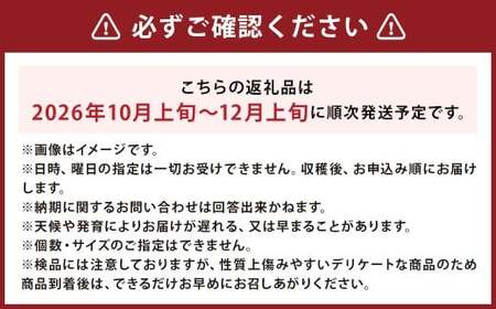 【先行受付】北海道産 情熱じゃが芋（男爵） Lサイズ 計約10kg 株式会社マルエイ商事 じゃがいも じゃが芋 ジャガイモ 芋 いも イモ 国産【2026年10月上旬～2026年12月上旬迄発送予定】