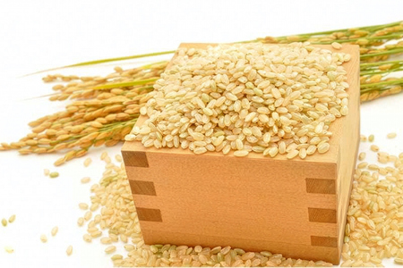 【定期便／3ヶ月 令和7年産】特別栽培米 コシヒカリ 10kg (5kg×2袋)×3回 [1908]