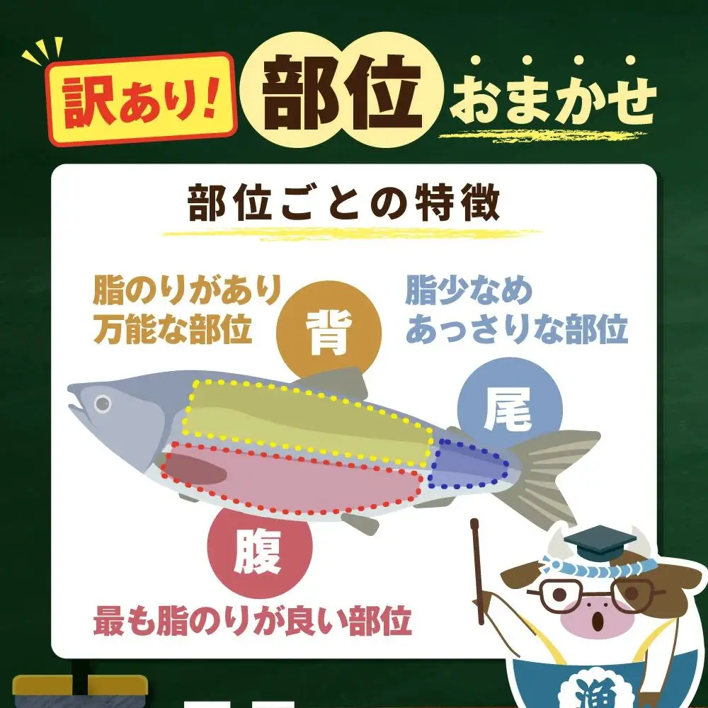 【訳あり】アトランティック サーモン ハラス＆カマ＆中骨 バラエティセット500ｇ(500ｇ ×1P)【SS0000HY0】 