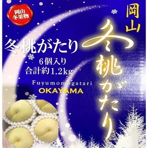 先行予約 晴れの国 岡山のフルーツ 定期便 2回コース 1回目ロイヤル白桃6玉 合計約1.2kg／2回目冬桃がたり6個 合計約1.2kg