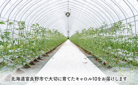 【2026年夏～発送】北海道 富良野産 ミニトマト 約3kg キャロル10 トマト (榎本農園) 富良野市 新鮮 直送 道産 ふらの 送料無料 数量限定 先着順 トマト 甘い 野菜