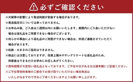 訳あり家庭用シャインマスカット摘み落とし1.5kg以上 マスカット ぶどう ブドウ 葡萄 グレープ フルーツ 果物 デザート おやつ 種なし 皮ごと 旬 岡山県 美咲町 【2026年9月上旬から10月上旬頃発送予定】
