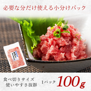 a15-710　ミナミマグロ入り マグロのたたき 100g 小分け パック セット 焼津 海のミナミマグロ入り マグロのたたき 100g 小分け パック セット 焼津 海の極 ネギトロ 天然 新鮮 冷凍 ねぎとろ 小分け 1kg（100g× 10パック）