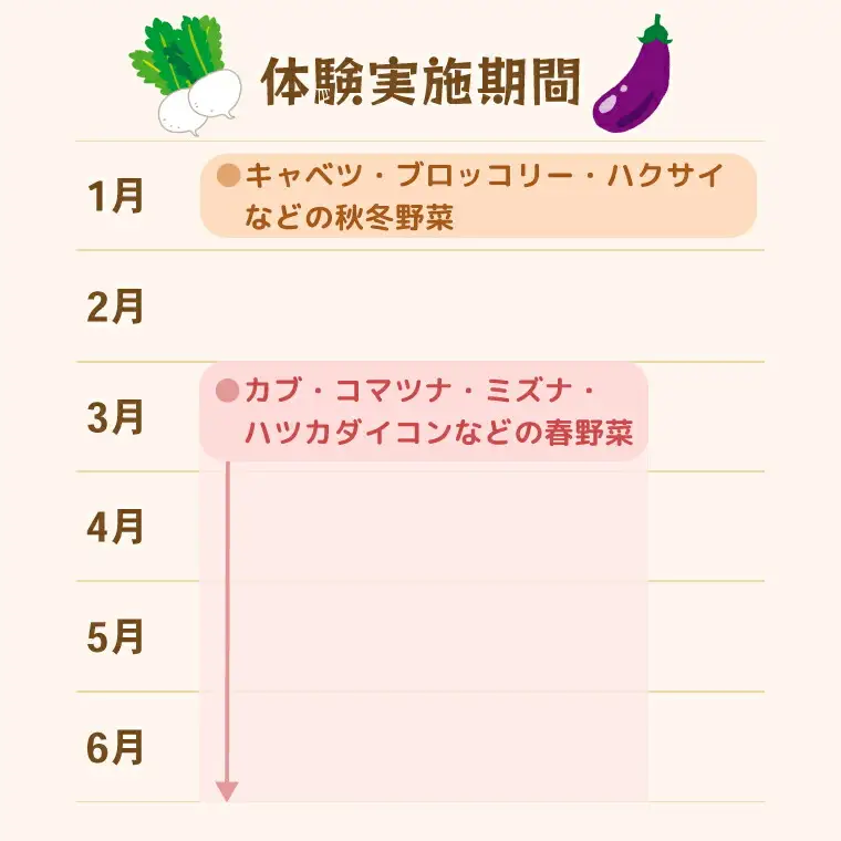 年間を通した野菜作り「土の学校」（1組5名まで） 〈 学び 食育 収穫 農業 野菜 子供 親子 農作物 ふるさと納税 柏 〉