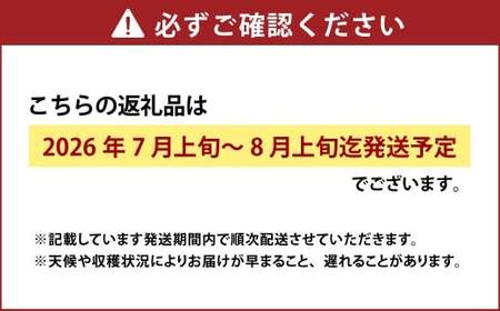 白桃 5玉（1.5kg以上） 等級：ロイヤル 木箱入り 【2026年7月上旬～8月上旬迄発送予定】 桃 モモ もも 果物 くだもの フルーツ 冷蔵 国産