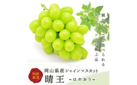 シャインマスカット 晴王 2房（1房480g以上） 計960g以上 化粧箱入り 【2026年8月下旬～11月上旬迄発送予定】 ぶどう ブドウ 葡萄 マスカット 種なし 果物 くだもの フルーツ 冷蔵 国産