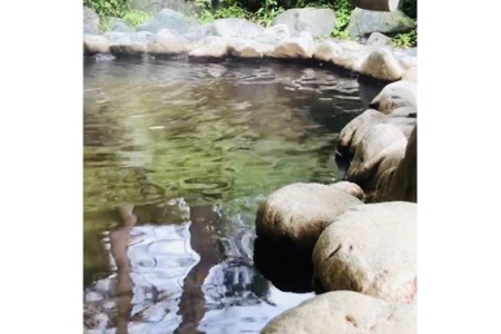 天然温泉入浴と和食または中華の食事が選べる「温泉＆お食事セット券」 [h030]