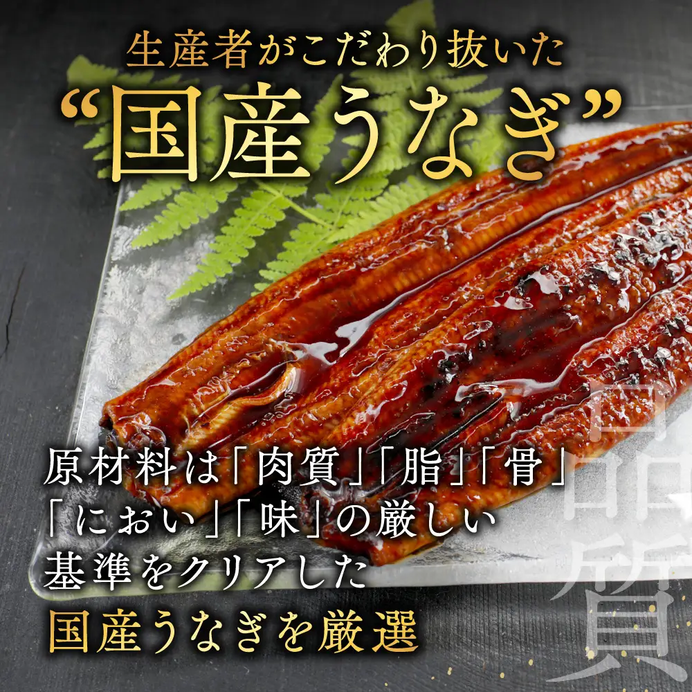 （6月発送）国産　特上うなぎ 2尾 合計 260g 以上