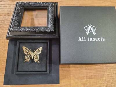 クワガタピンブローチ　ゴールドカラー　All insects　【セレブ御用達】【世界10個限定】【仕事運UP】