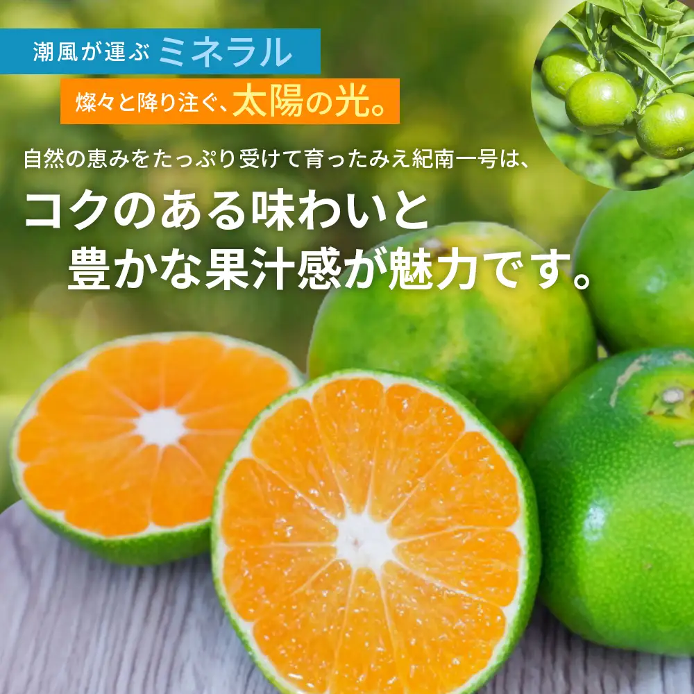 みかん 超極早生温州みかん みえ紀南一号 約5kg【nkmr0012】