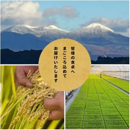 【先行予約受付】令和8年　青森県産まっしぐら　玄米30kg　彩北米【配送不可地域：離島・沖縄県】【1707798】