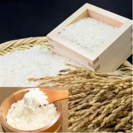 【令和7年産】宮城県産　無洗米ひとめぼれ　10kg(5kg×2袋)【1684063】