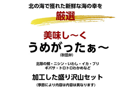 海の恵み 盛りだくさんセット 海鮮宝箱（15点入り） 詰合せ セット 鈴木水産 秋田県 八峰町