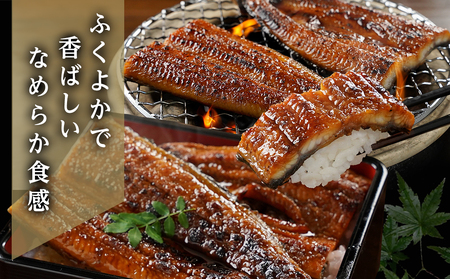 【父の日】職人手焼きの本格うなぎ蒲焼き1尾≪6月18日～21日お届け≫〔LG8-33-003-1-FG〕_(都城市) 鰻蒲焼 1尾 (総重量150g以上) タレ付き (30ml×1個) 国産うなぎの蒲焼き 特製たれ付き 冷凍 ウナギ かば焼き うなぎ