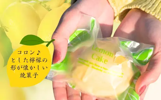 レモンケーキ6個詰め合わせ 