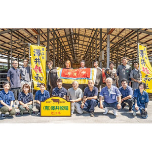 近江牛ウデ肉スライス500ｇ【 近江牛 ハラルビーフ スライス 】