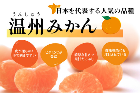 【0057-4】「濃厚な味のとろける美味しさ」温州みかん 5kg《先行予約》