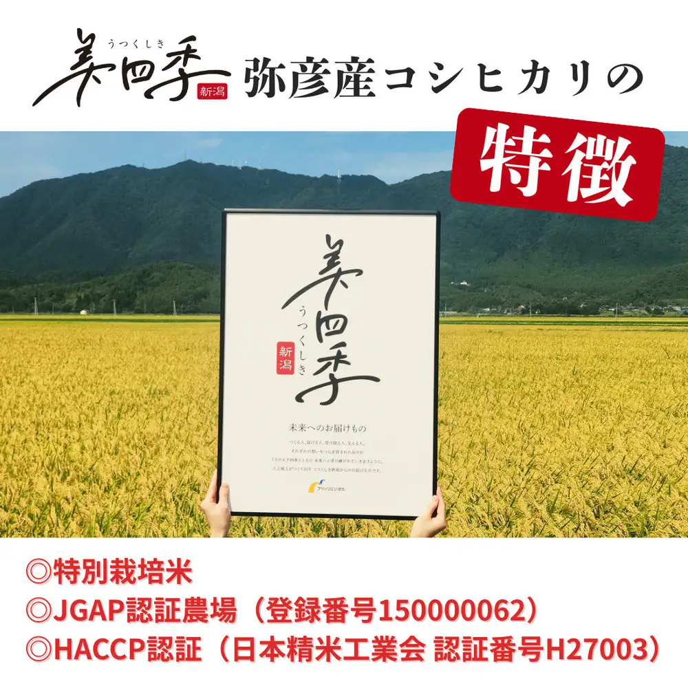 令和7年産　新潟県弥彦産コシヒカリ　美四季10kg(5kg×2袋)　皇室献上米農家生産　特別栽培米