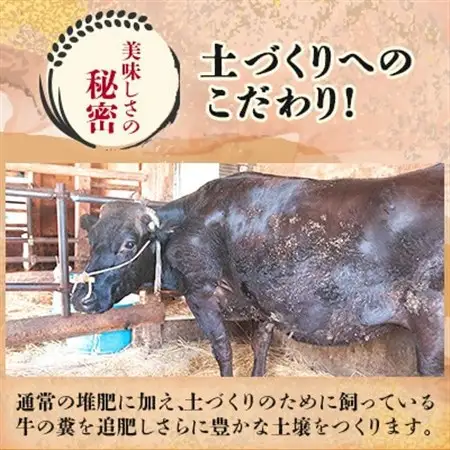 【令和7年産】山形県産 特別栽培米 つや姫 精米 30kg(10kg×3) なおちゃんファームのお米【1707058】