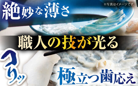 【新鮮！贅沢おつまみ】とらふぐ 刺身 トラフグのてっさ（大皿/200g）×1枚/ とらふぐ 刺身 紅葉おろし トラフグ ふぐ フグ 河豚 刺し身 ふぐ刺し / 南島原市 / 株式会社 FUKUNOTANE[SFJ037]