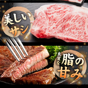 【父の日】宮崎牛サーロインステーキ200g×5枚≪6月18日～21日お届け≫〔AE-8904-FG〕_(都城市) 牛 サーロインステーキ 計1キロ ステーキ カット肉 トップブランド 旨味 真空 牛肉 肉 宮崎牛 真空 サーロイン ステーキ 個包装
