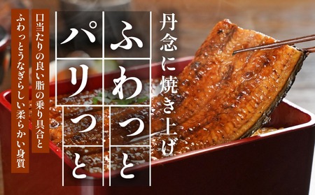 【父の日】宮崎県育ちのうなぎ蒲焼2尾300g以上≪山椒・たれ付≫≪6月18日～21日お届け≫〔13-M301-FG〕_(都城市) うなぎ蒲焼(有頭) 宮崎県産 真空 山椒・たれ付 父の日 ギフト