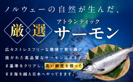 【父の日】プリンス アトランティックサーモン1kg≪6月18日～21日お届け≫〔17-M302-FG〕_(都城市) お刺身 生食用 個包装 骨なし 冷凍 モウイプリンス ブロック サーモンステーキ カルパッチョ