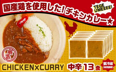 【父の日】カレー倶楽部ルウの26食カレーセット(ビーフ13食&チキン13食)≪6月18日～21日お届け≫〔14-2701-FG〕_(都城市) ビーフカレー 都城産黒毛和牛使用 チキンカレー 国産鶏使用 チルド食品