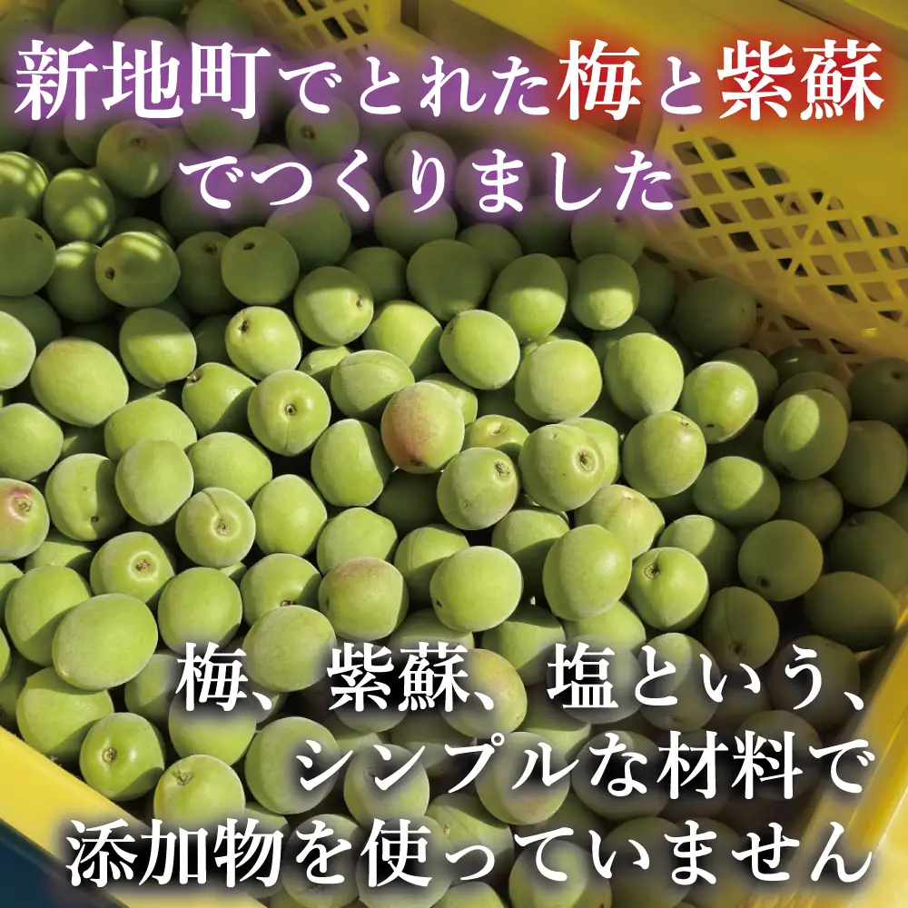 昔ながらの梅干し 200g×2パック 無添加 梅干し | 田舎の梅干し すっぱい 訳あり 梅干 うめぼし 保存料無添加 着色料無添加 福島県 新地町 送料無料 すっぱい 熱中症対策 お試し お取り寄せ 国産 人気 おすすめ