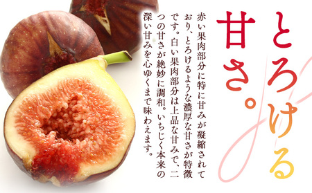 いちじく 無花果 とよみつひめ 280g×4パック《8月中旬-10月中旬頃出荷》福岡県 鞍手町 福岡県産 いちじく フルーツ 果物