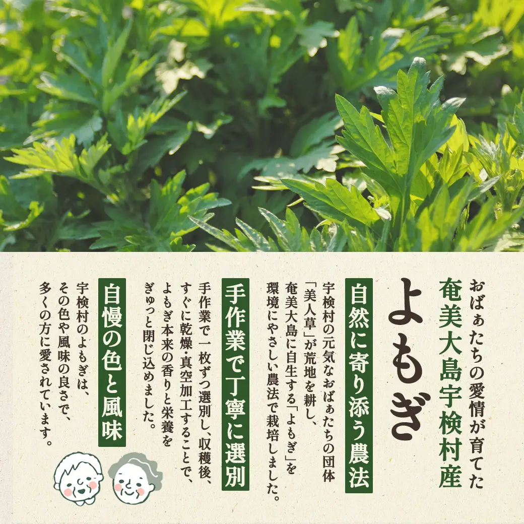 奄美大島 宇検村 よもぎ茶 １袋 ヨモギ 蓬 ギフト 自宅用 国産 おすすめ おちゃ お茶 人気 奄美大島 宇検村 鹿児島県