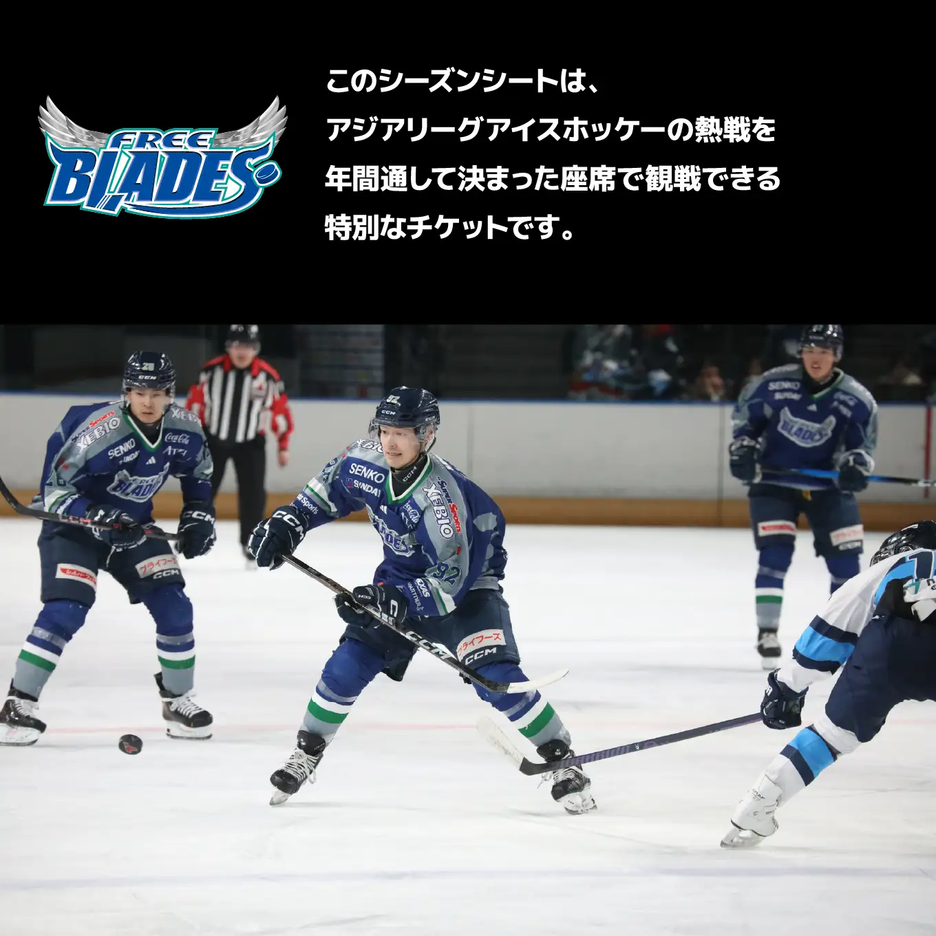 東北フリーブレイズ　アジアリーグ アイスホッケー 〈2026‐27シーズン〉 シーズンシート（自由席エリア） FLAT HACHINOHE 観戦チケット 1名 青森県 八戸市