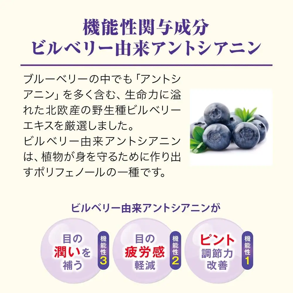 ブルーベリー＋ルテイン 60球 袋入 【006-a125】【山田養蜂場】