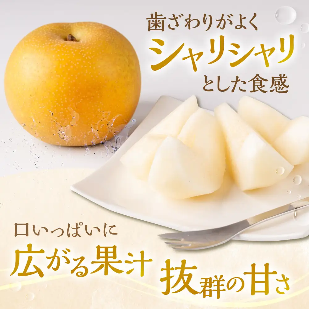 【先行予約・2026年8月25日～9月10日に発送】呉羽梨（くれはなし）5kg箱