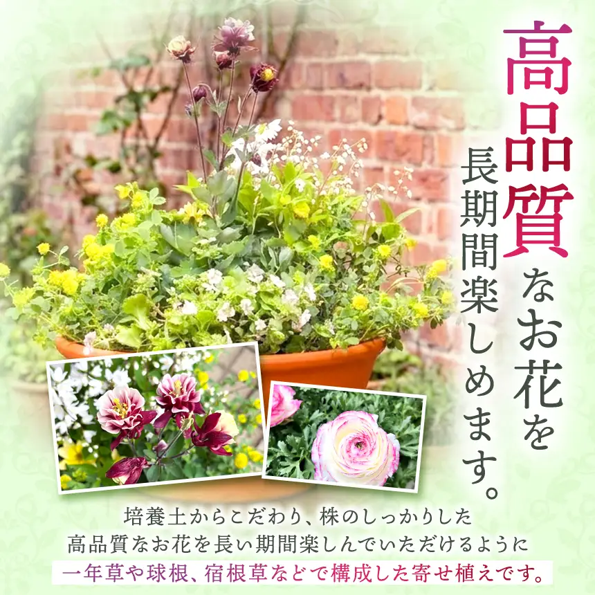季節 の 寄せ植え ( 内容 おまかせ ) | 花  ガーデニング 英国流 フラワーポット
