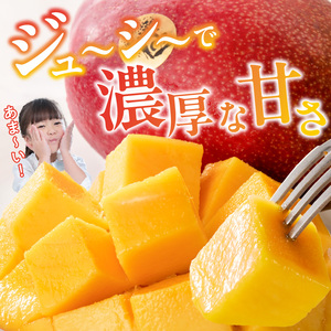 【2026年6月以降お届け】極　完熟マンゴー（2?3玉：約1.1?1.3kg） _ 完熟マンゴー 2 ? 3玉 約1.1kg 1.3kg 平均糖度 17度?18度 完熟 マンゴー 倉重農園 フルーツ トロピカルフルーツ 果物 デザート 冷蔵 クール便 お取り寄せ お取り寄せフルーツ 福岡県 久留米市 送料無料  〔Fm020〕