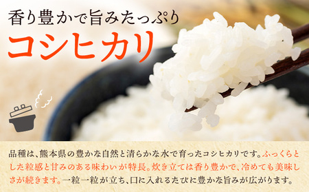 超早期米 コシヒカリ こしひかり 5kg 田嶋ファーム《30日以内に出荷予定(土日祝除く)》熊本県 苓北町 米 早期米 天草 苓北 国産 九州 熊本 熊本県産