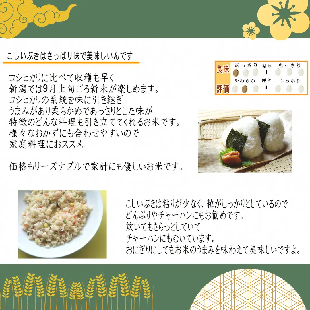 お米マイスターいち押し！！【令和7年産】新潟産こしいぶき 5kg コシヒカリの美味しさを受け継ぐ 白米 精米 コシヒカリ系 早生品種 米 ごはん ライス ブランド米 お米マイスター 井上米穀店  新潟県 こめ コメ 1I28013