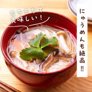 米粉そうめん 10食セット　そうめん 小麦粉不使用 グルテンフリー 冷凍 保存食 個包装 素麺 京都府 南丹市