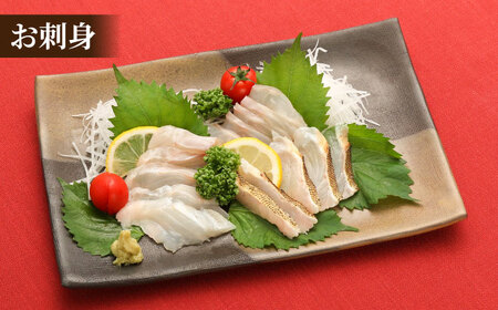 【幻の超高級魚をご家庭で】養殖 クエ まるごと 1.5kg×1尾【豊建設株式会社】[RAE018]
