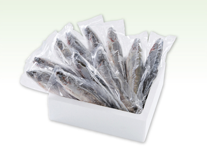 西塚農場産 岩魚冷凍30尾(腹抜き)