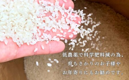 令和7年産 こしひかりカルゲン米 10kg(5kg×2) お米 白米 コシヒカリ | 石川県 小松市【坂口農園】