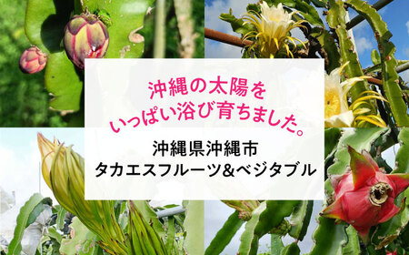 ドラゴンフルーツ 2kg 完熟直送！ 沖縄県産ドラゴンフルーツ